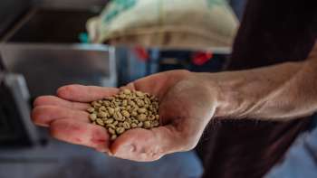 Nahaufnahme von einer Hand die Kaffeebohnen von Demmel Kaffee zeigt
