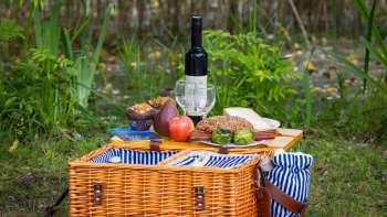 Picknickkorb mit Weinflasche im Wald