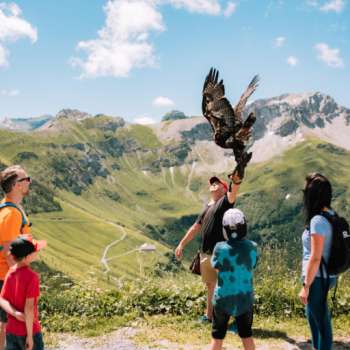 Familie beobachtet Falkner mit Greifvogel bei einer Erlebnisführung in den Bergen von Malbun.