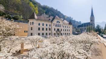 Regierungsgebäude Vaduz umgeben von blühenden Bäumen und mit Blick auf die Kathedrale St. Florin