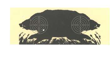 Luftgewehranlage (10m) Guferwald