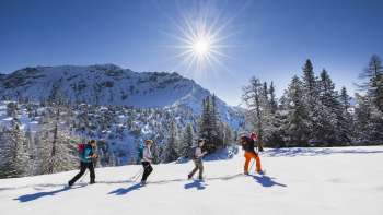 Schneeschuhwandern auf Schönberg
