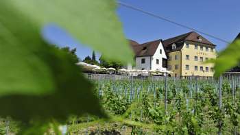 Aussenansicht des Gasthofs mit Weinreben im Vordergrund