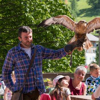 Ein Falkner präsentiert einen Greifvogel, Kinder und Erwachsene schauen begeistert zu.