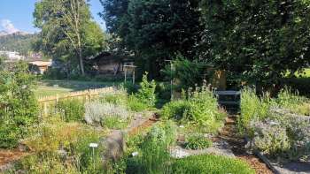 lick auf den Kräutergarten in Mauren mit beschrifteten Pflanzenbeeten, blühenden Kräutern und gepflegten Wegen in sommerlicher Umgebung.