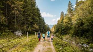 Familie wandert auf einem Naturweg durch das grüne Valünatal in Liechtenstein, umgeben von Wald und Bergen bei Sonnenschein