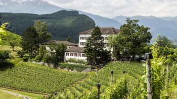 Haus Gutenberg inmitten der Weinberge in Balzers