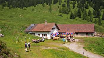 Blick auf die Alp Guschg Eingebettet in grünen Wiesen und Wald im Wintergrund Blick auf die Alp Guschg Eingebettet in grünen Wiesen und Wald im Wintergrund
