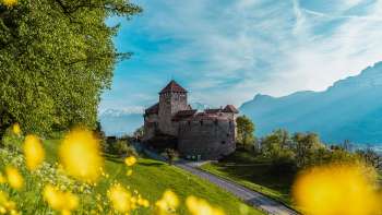 Schloss Vaduz mit gelben Blumen im Vordergrund an einem sonnigen Frühlingstag