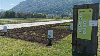 Blick auf eine Informationstafel und Berge im Hintergrund auf dem Weltacker Mauren