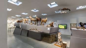 Liechtensteinisches LandesMuseum