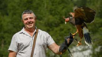 Falkner Norman Vögeli mit Adler