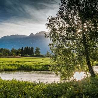 Stimmungsvolles Abendlicht über dem Ruggeller Riet mit Flusslauf, Bäumen und Blick auf das Gebirge im Hintergrund.