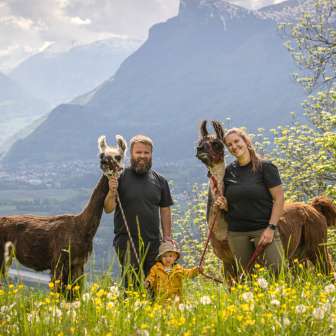 Familie mit Kind und zwei Lamas vor beeindruckender Alpenkulisse bei einer Lama- und Alpakawanderung in Liechtenstein.