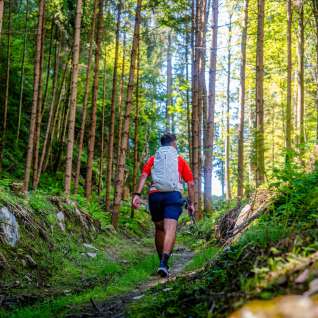 Wandern im schattigen Wald in Liechtenstein – Naturerlebnis auf alpinen Wegen Wanderer auf einem schmalen Pfad durch lichten Nadelwald in Liechtenstein, umgeben von grüner Vegetation und Sonnenlicht
