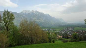 Blick vom Eschnerberg über das Rheintal mit saftig grünen Wiesen, Frühlingsbäumen und dem imposanten Alpenpanorama in Liechtenstein – Natur und Aussicht genießen im Unterland.