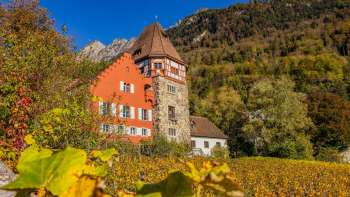 Das Rote Haus in Vaduz umgeben von herbstlichen Weinreben am Hang