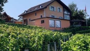 Campus Rheni Weinmanufaktur