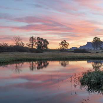 Ruggeller Riet im Abendrot mit Weiher im Vordergrund 