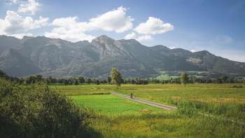 Drohnenaufnahme des Ruggeller Riet mit Bergen im Hintergrund