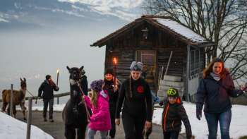 Kinder und Erwachsene bei einer Winterwanderung mit Lamas auf einem verschneiten Weg in Liechtenstein mit Blick ins Rheintal