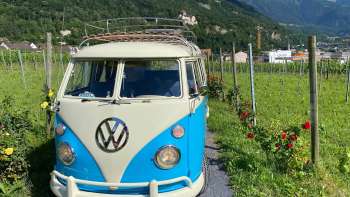 Nostalgischer VW-Bus auf einem Weg durch die Weinberge mit Blick auf das Schloss Vaduz