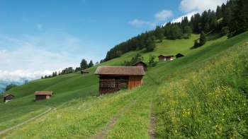 Alpweiden mit verstreuten Holzstadeln an einem grünen Hang bei Masescha.