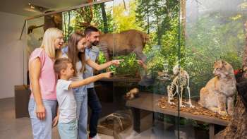 Familie betrachtet die naturkundliche Ausstellung im Liechtensteinischen LandesMuseum