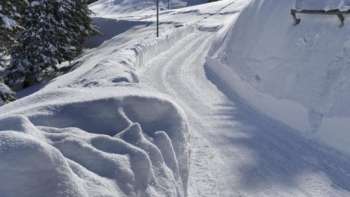 Rodelbahn Sücka inmitten von Schneelandschaft im Wald