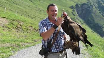 Falkner mit seinem Greifvogel in den Bergen Liechtensteins