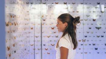 Liechtensteinisches LandesMuseum