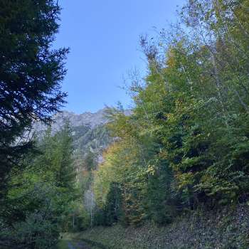 Ruine der Burg Schalun bei Vaduz in Liechtenstein, eindrucksvoll auf einem Felsvorsprung gelegen mit Blick auf die Alpen.