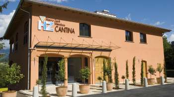 Harry Zech Weinbau Cantina