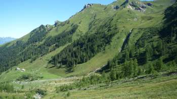 Grüne Alpwiesen und bewaldete Hänge rund um die Alp Lawena in Liechtenstein an einem klaren Sommertag, mit Blick auf die umliegenden Berge.