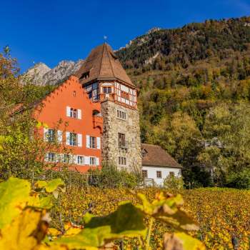 Das Rote Haus in Vaduz umgeben von herbstlichen Weinreben am Hang