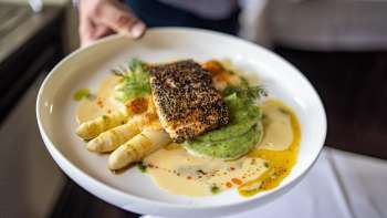 Detailaufnahme eines Spargelgerichts mit cremiger Sauce angerichtet auf einem weissen Teller in der Gaflei Stuba