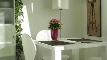 Ferienwohnung «Bächlegatter»