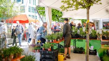 2024 04 27 Lokal und Fair Fruehlingsmarkt Vaduz 0155