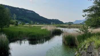 Blick auf den Egelsee in Mauren im Sommer mit grüner Ufervegetation, spiegelndem Wasser und ruhiger Naturkulisse.