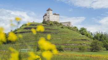 Blick auf die Burg Gutenberg mit gelben Blumen im Vordergrund und blauem Himmel im Hintergrund