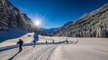 Langläufer geniessen die frisch präparierte Loipe bei strahlendem Sonnenschein in Steg, Liechtenstein.