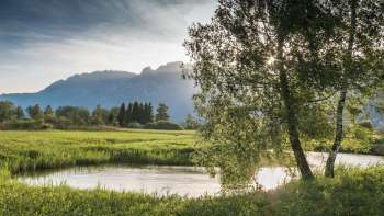 Ruhige Wasserlandschaft im Ruggeller Riet mit sanftem Sonnenlicht und Blick auf die Berge im Hintergrund