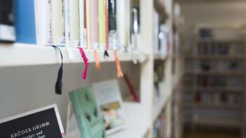 Blick in das Literaturhaus Liechtenstein mit Fokus auf Bücher in einem hellen Regal