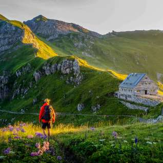 Wanderer blickt auf die Pfälzerhütte in Liechtenstein, umgeben von grüner Berglandschaft und Alpenpanorama bei Abendlicht