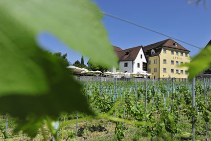 Gasthof Löwen