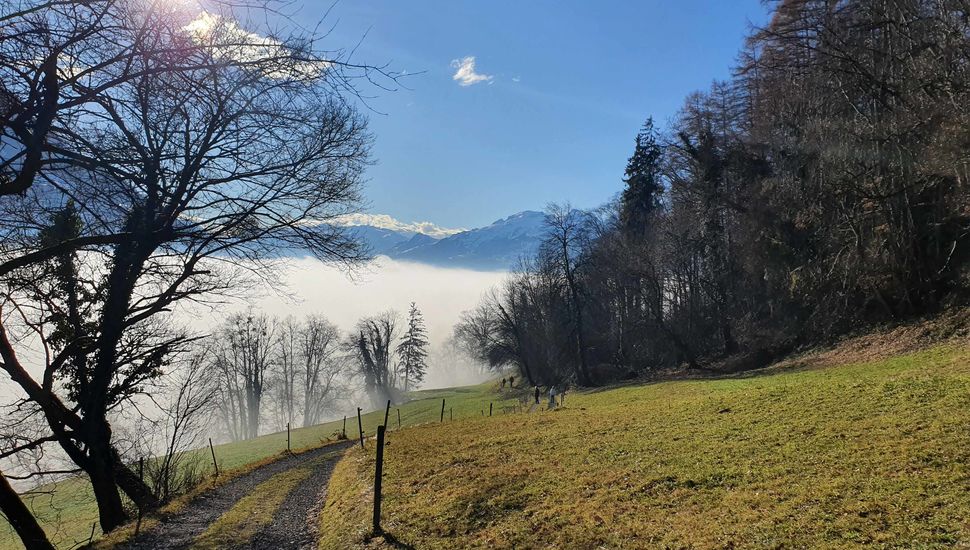 Liechtenstein Trail Schellenberg
